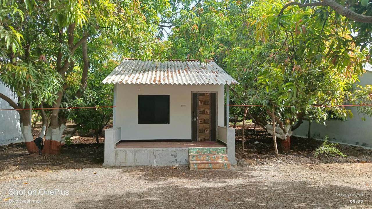 Gir Madhuli Farmhouse Sasan Gir Esterno foto