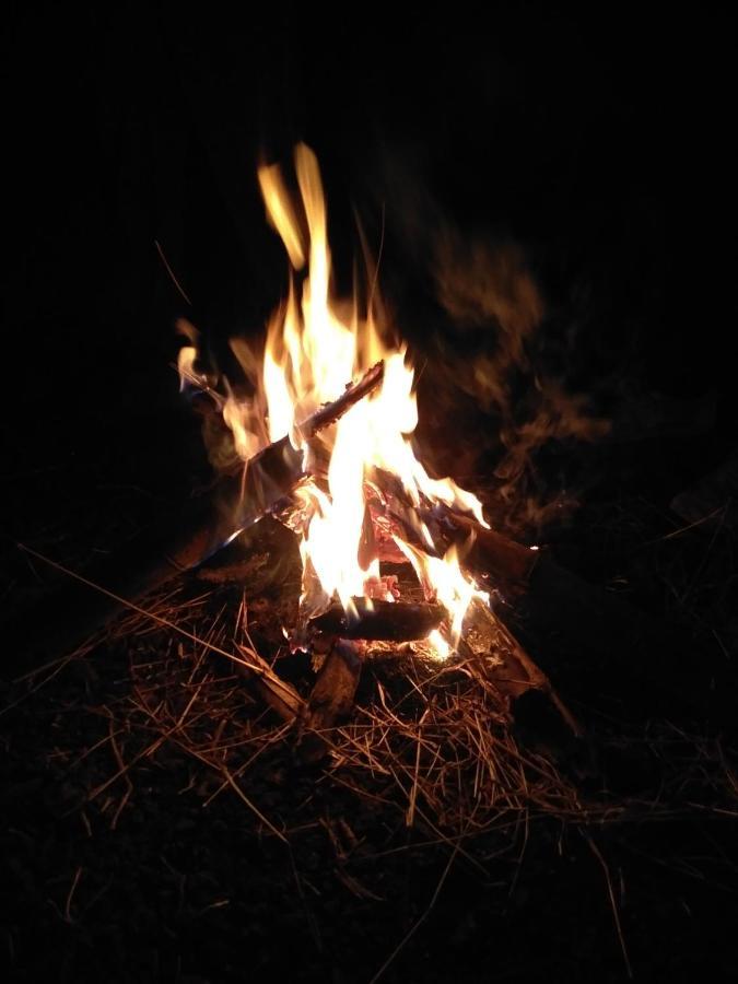 Gir Madhuli Farmhouse Sasan Gir Esterno foto